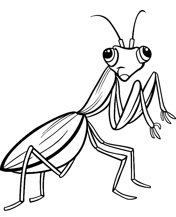 mantis coloring pages - photo #30