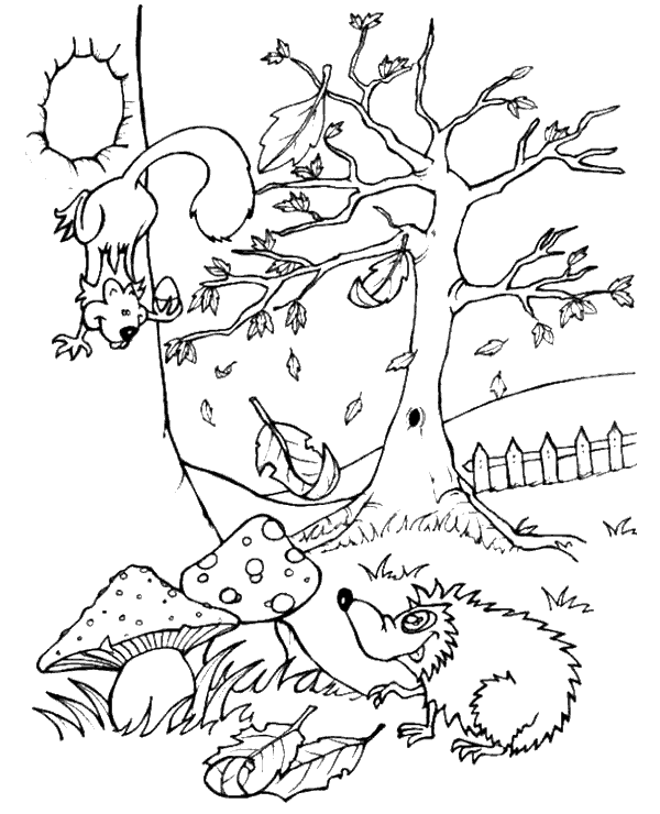 Forest animals colouring books for children