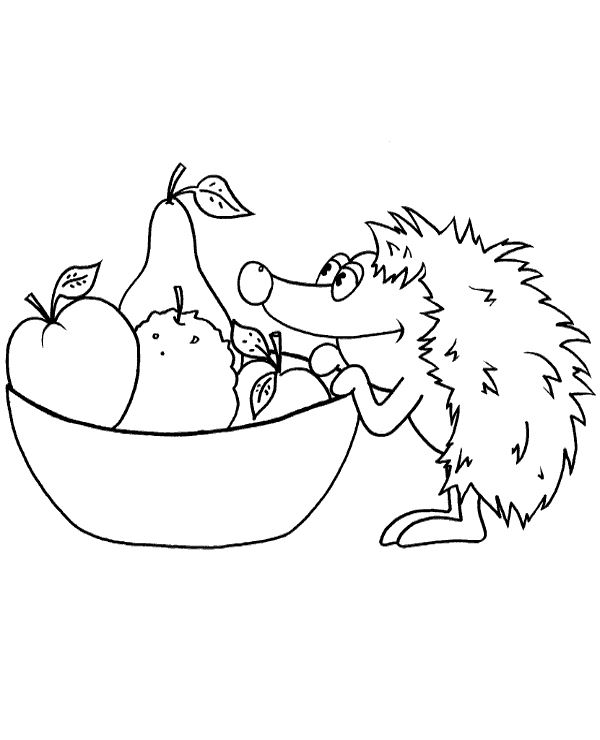 Hedgehog with fruits picture to color