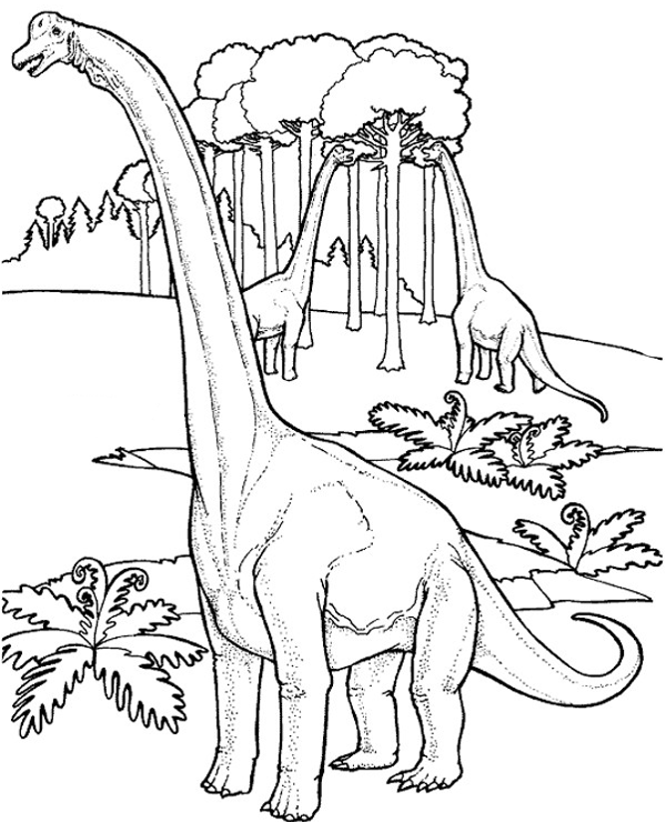 Dinosaurs herbivores coloring page brachiosaurus