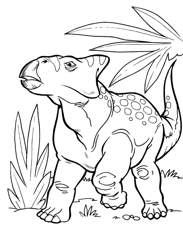 Dinosaurs colouring books