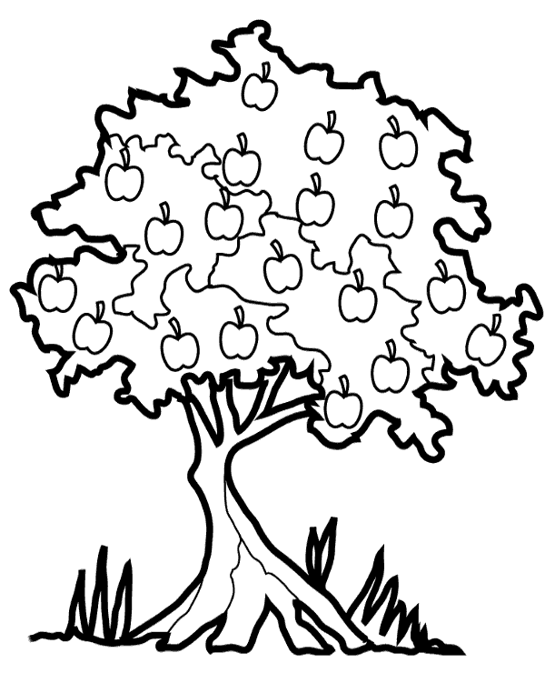 Apple tree young children coloring pages
