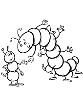 Two funny caterpillars