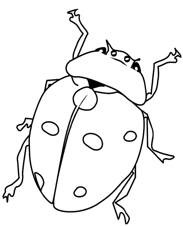 Ladybird image to color