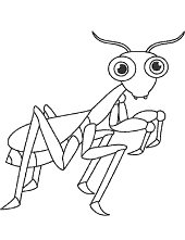Ant coloring sheets