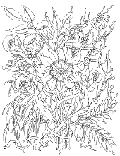 Adult's coloring page