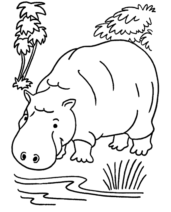 Hippo coloring page