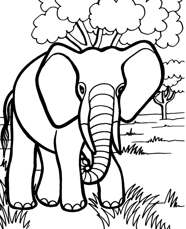 Wild african elephant coloring sheet
