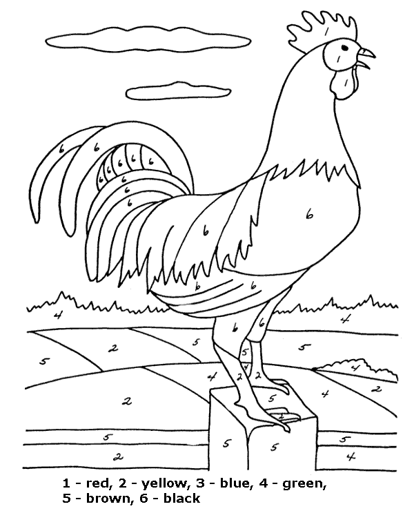Rooster to color print