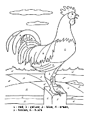 Rooster to color