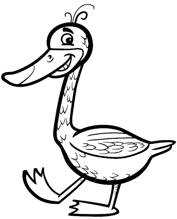 Duck color for free