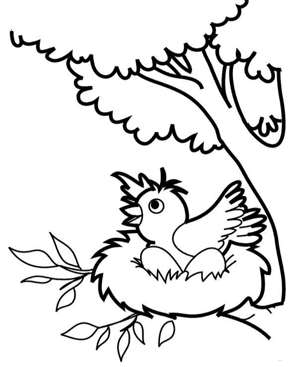Bird's nest coloring pages