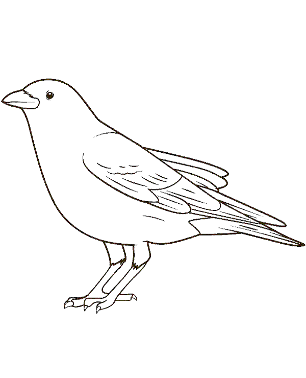 City bird coloring pages
