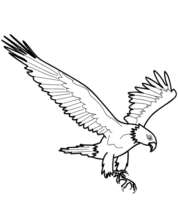 cute flying bird coloring page