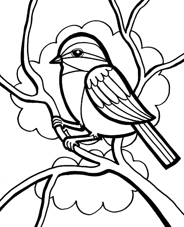 Bird on a tree coloring sheet