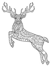 Deer pictures to color