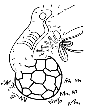 Ball coloring sheet