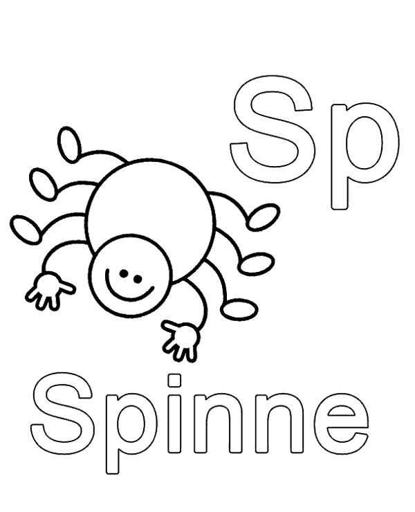 Spinne spider to color and print