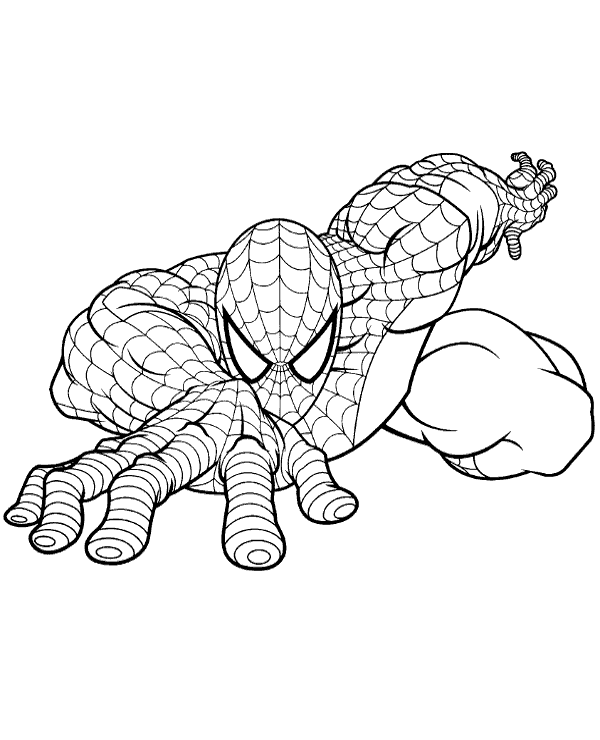 spiderman coloring pages  Spiderman coloring, Disney coloring pages,  Superhero coloring pages