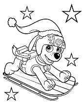 Winter with Paw Patrol