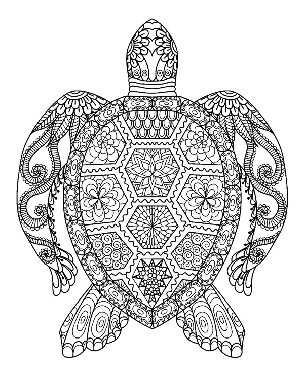 tortoise coloring pages