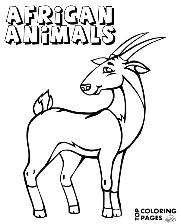 Antelope coloring page, book