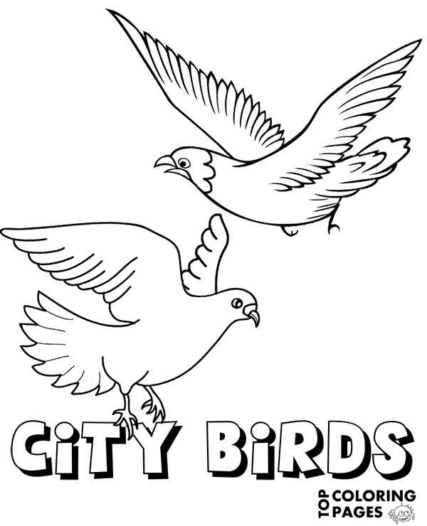 City birds to color