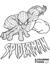 Coloring New Spiderman