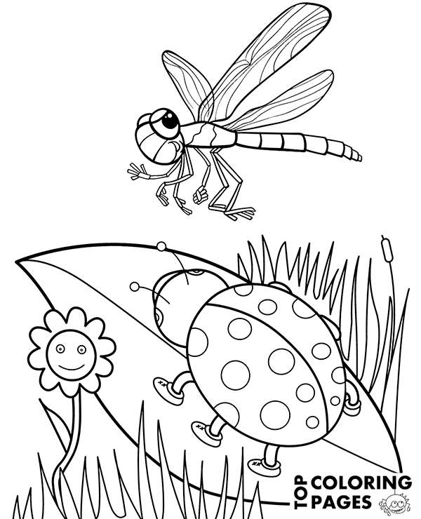 Ladybird & dragonfly coloring page for kindergarten
