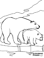 Coloring page, picture of polar bear