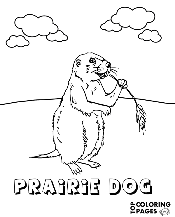 Prairie dog on steppe printable coloring page