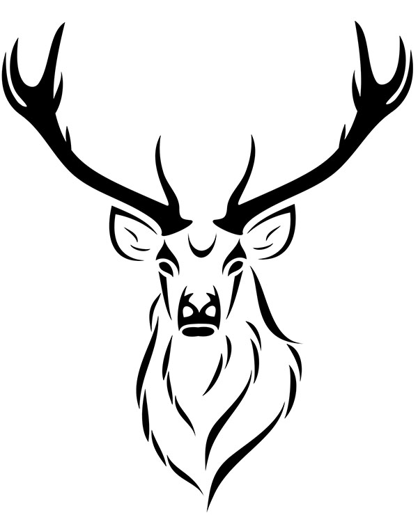 Hand drawn deer head. Wild animal with horn, mammal reindeer tattoo. Vector  illustration Stock Vector | Adobe Stock