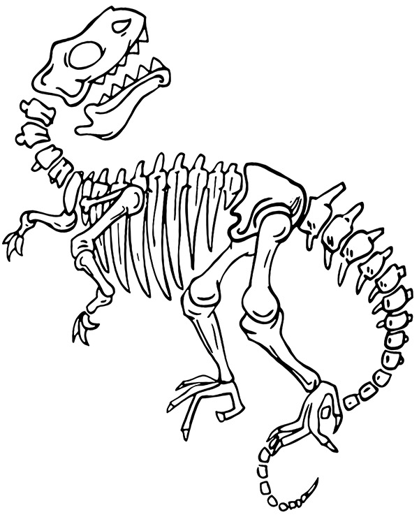 Skeleton of dinosaur coloring page