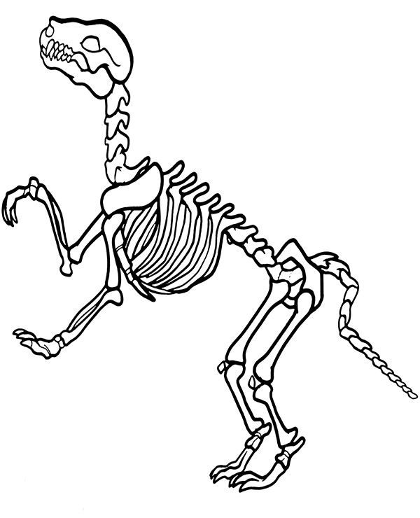 Skeleton of dinosaur printable coloring sheet