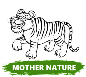 Category of coloring pages related to the nature