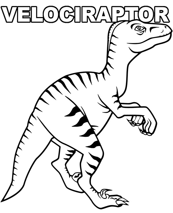 Velociraptor carnivorous small dinosaur coloring sheet