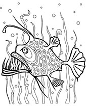 Angler fish printable image
