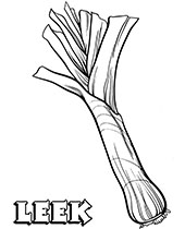 Leek realictic printable coloring pages