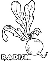 Vegetable coloring pages radish