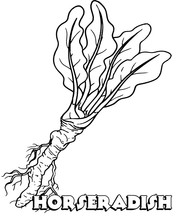 Horseradish printable coloring page for children
