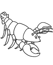 Crayfish free coloring page sheet
