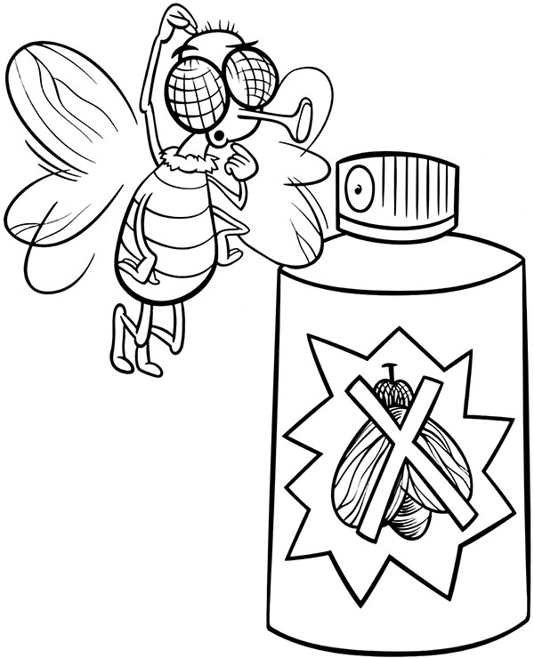 Funny coloring picture with a fly