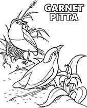 Two birds coloring pages for children