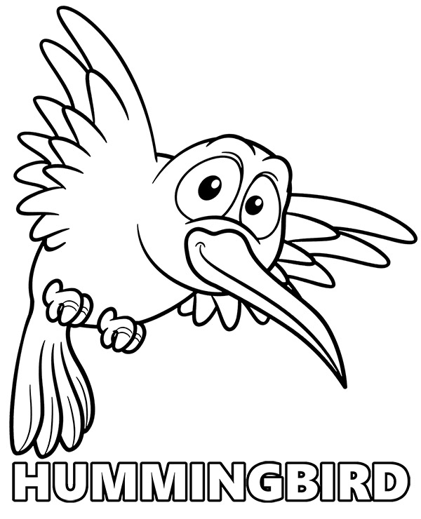 hummingbird coloring pages to print