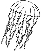 Printables for children medusa jelly fish