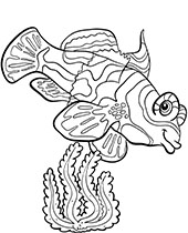 Colorful coral reef fish coloring pages