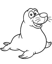 Seal free coloring pages for children
