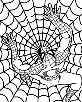 Spiders web printable coloring picture