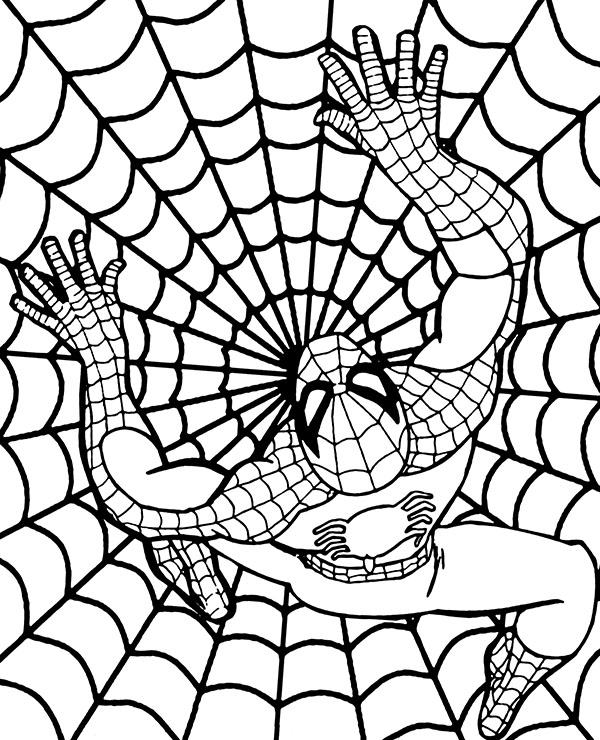 Spider-Man in the web printable coloring page