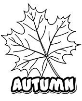 Autumn leaf for coloring